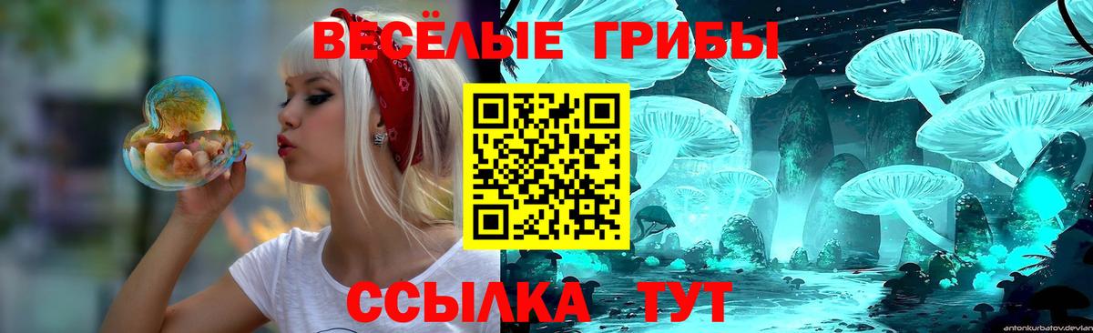 Троицк  Галлюциногенные грибы Cubensis  Псилоцибиновые грибы прущие грибы  Вход с VPN 